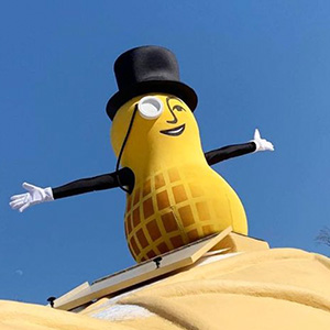 Mr Peanut popping out of sunroof